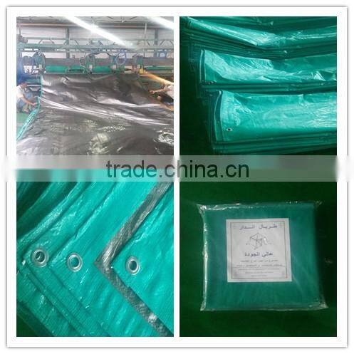 China made pe tarpaulin blue tarp with 6x6 mesh