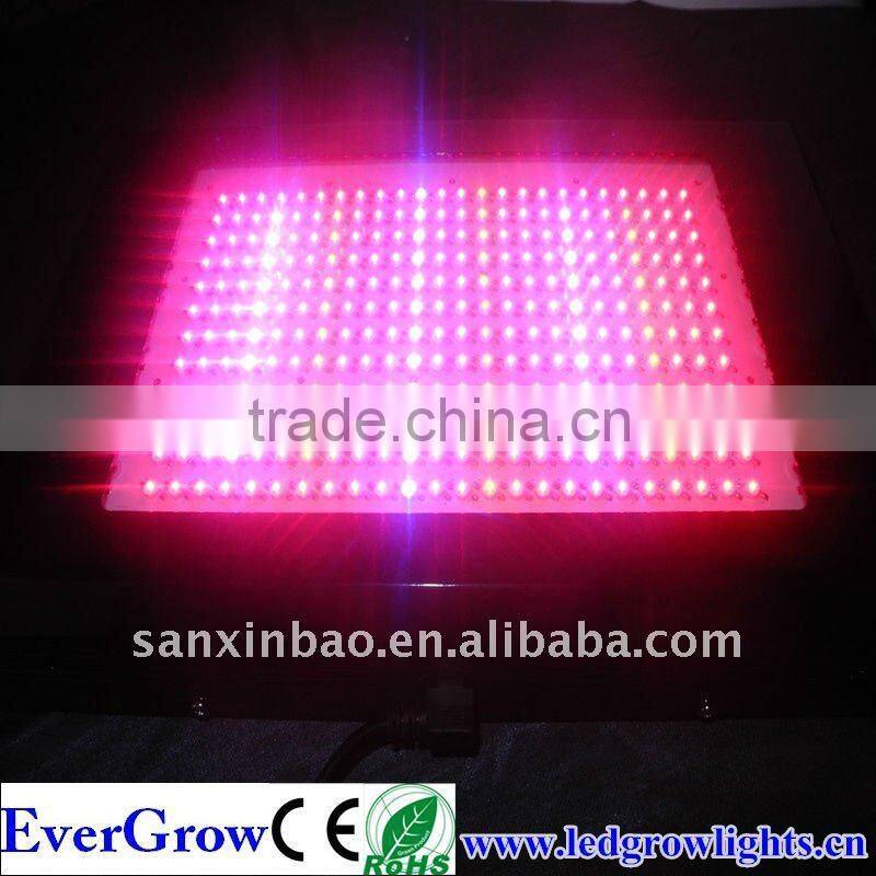 Shenzhen high quality cheap high power 5w Led grow Lights