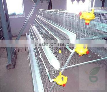 Automatic animal farm equipment poultry drinkers and chicken feeding system