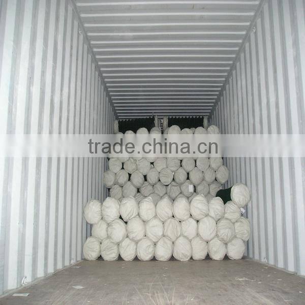 ISO factory galvanized and pvc coated chain link fence