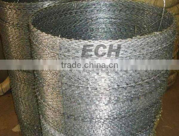 ECH galvanized razor barbed wire