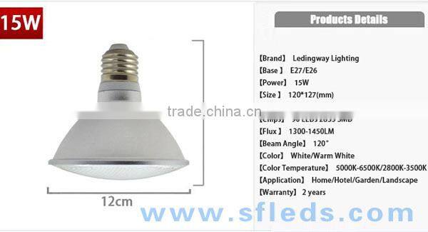 Super Waterproof AC 110V~240V Spot Light E27 Led Lamp 2835 SMD 7W PAR20 12W PAR30 15W PAR38 with Lens High Lumen LED Lamps