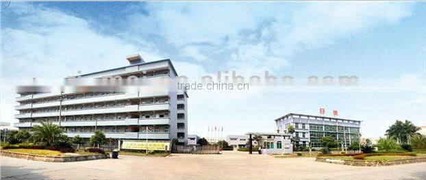 Eco-friendly key ring,promotional item,keychain,advertise gift