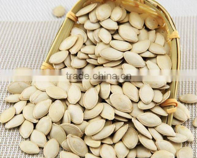 New Crop Chinese Sunflower seed 5009/3638/0409/103/601 for bird
