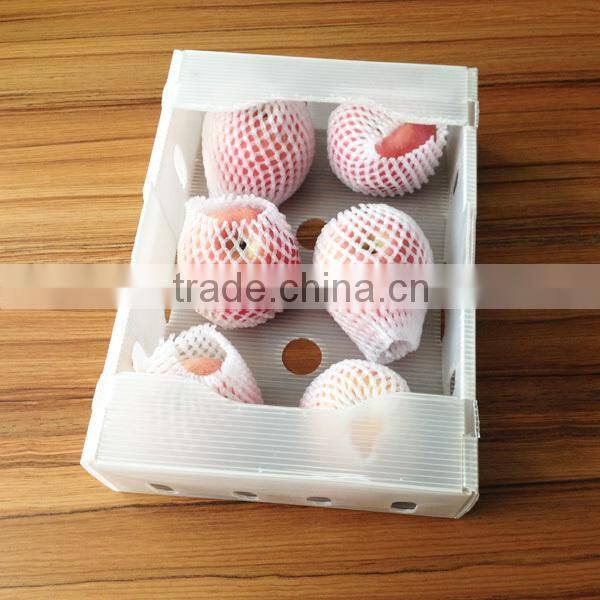 Recycled Packaging Foldable Plastic Container