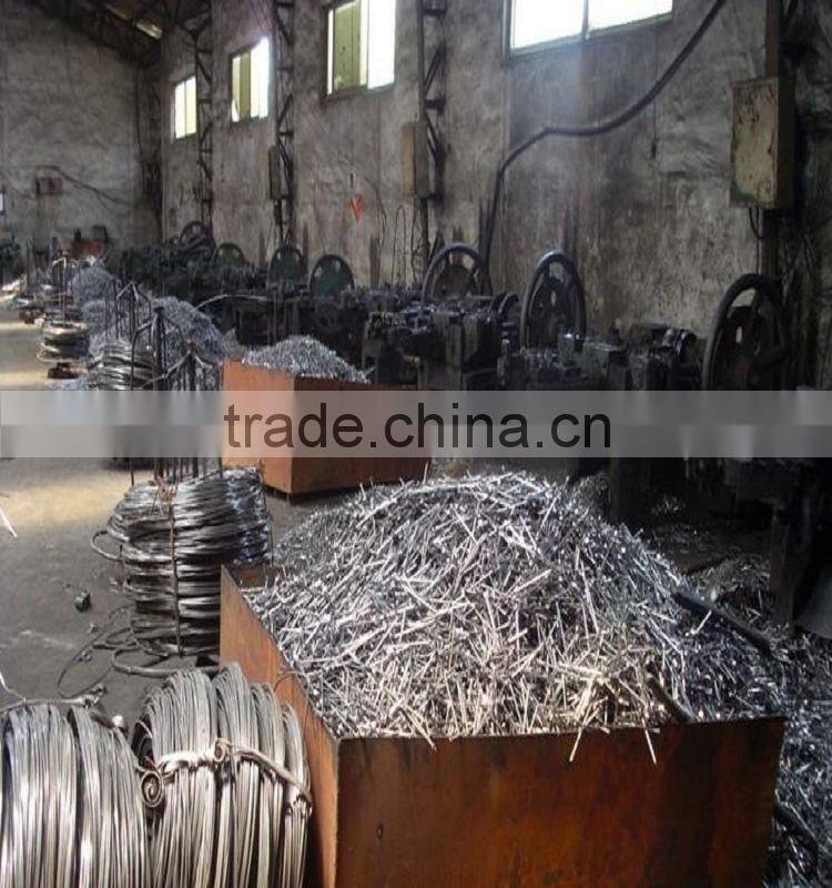 bright common nails,polish common iron nail