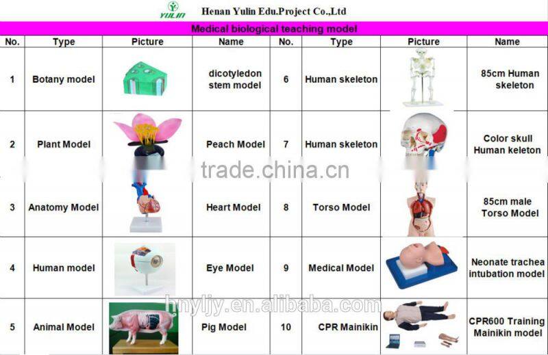 stand for Funnel filtration/physical science lab equipment
