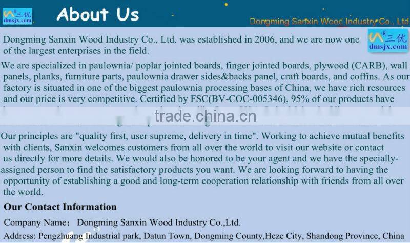 Best quality paulownia boards for skateboard in the whole world