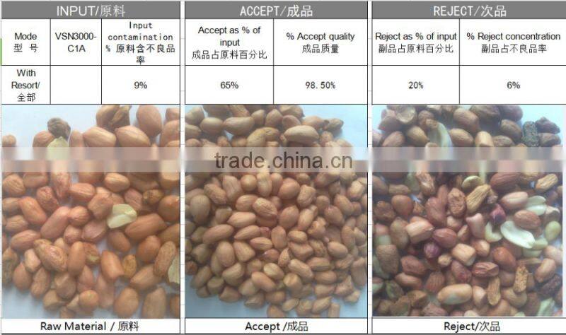 VSEE pine nut color sorter