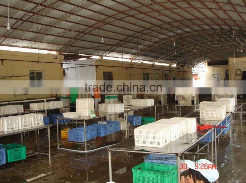 China High quality Canned Pickled Cucumber