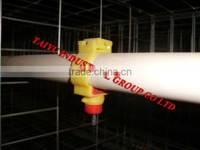 battery egg chicken cage