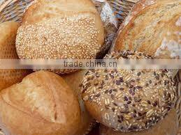 Hot Breezes Revolve Oven Industrial Convection Ovens Italian bakery machine