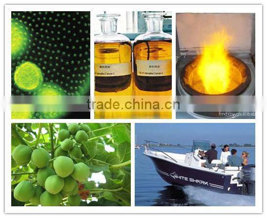 Disc Biodiesel Centrifuge for Glycerin Centrifuge