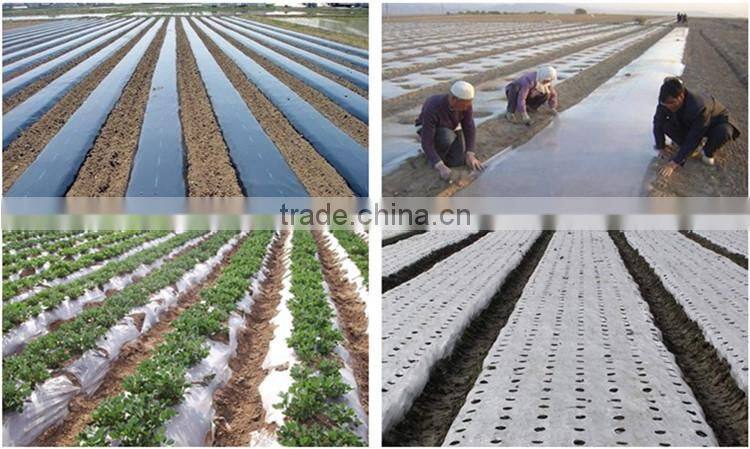 LD(L) Series Mulch and Agricultural Blown Film Machinery Lines