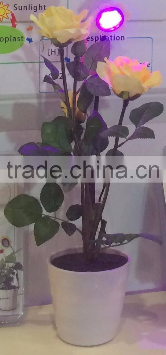 3w Desktop LED Grow Light for Indoor Flower Pot