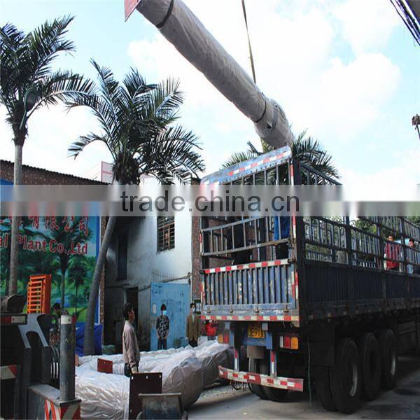 Artificial palm trees,for shopping mall decorative artificial palm tree