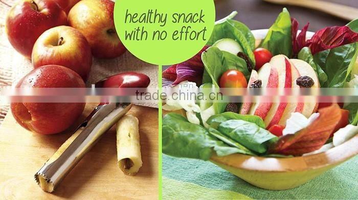 NBRSC Stainless Steel Apple Corer Fruit Vegetable Remover Tool