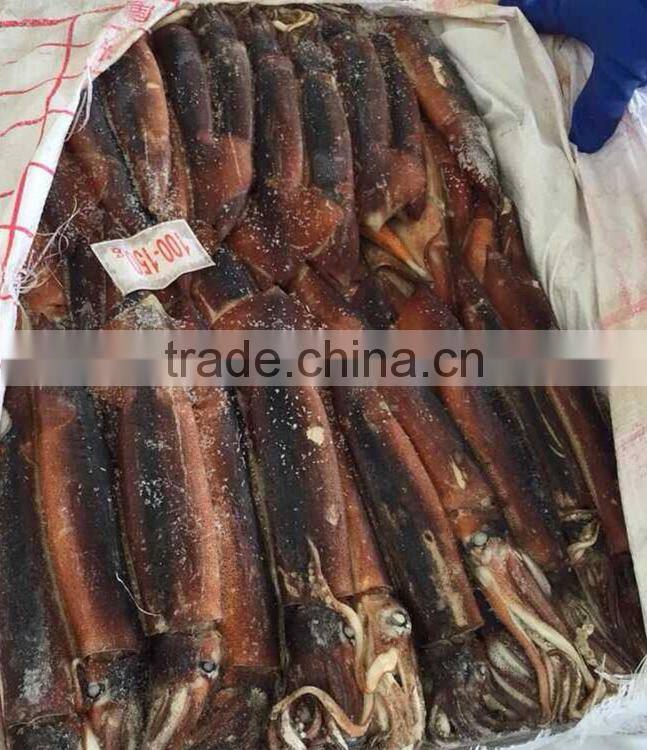 Whole Part Frozen Style Argentina Squid/Frozen Squid