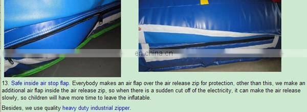 safari giraffe inflatable combo