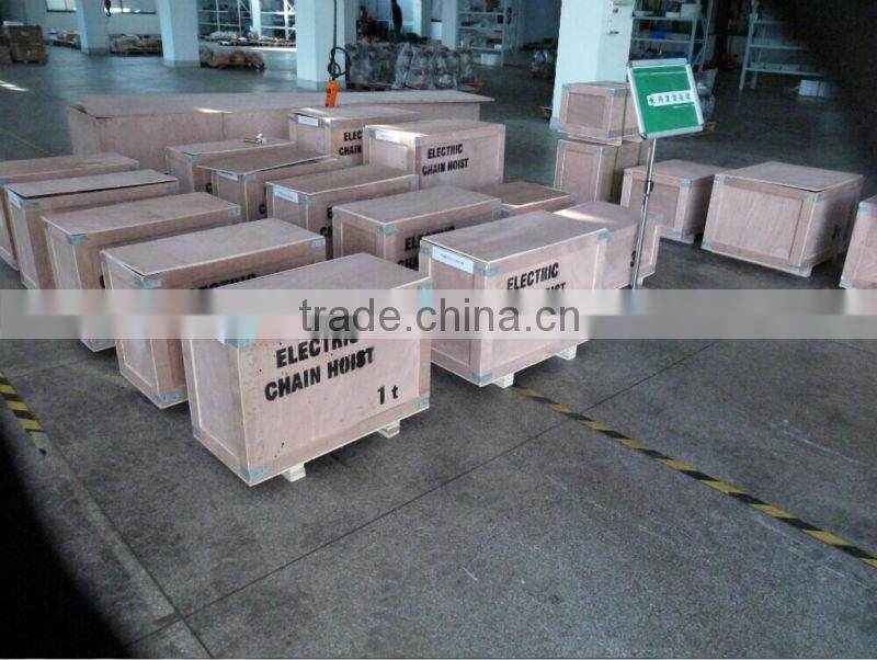 0.3ton Single Chain Type Electric Chain Hoist with Double Speed