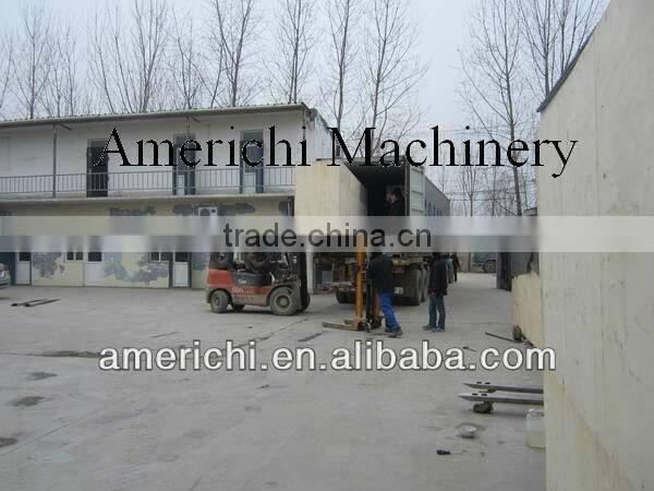 China fish food machine