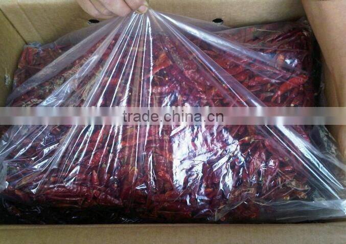 HOT dried chili