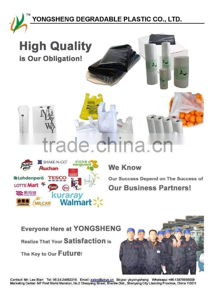 Die Cut Handle Bag, Punch Handle Bag, Promotion Bag