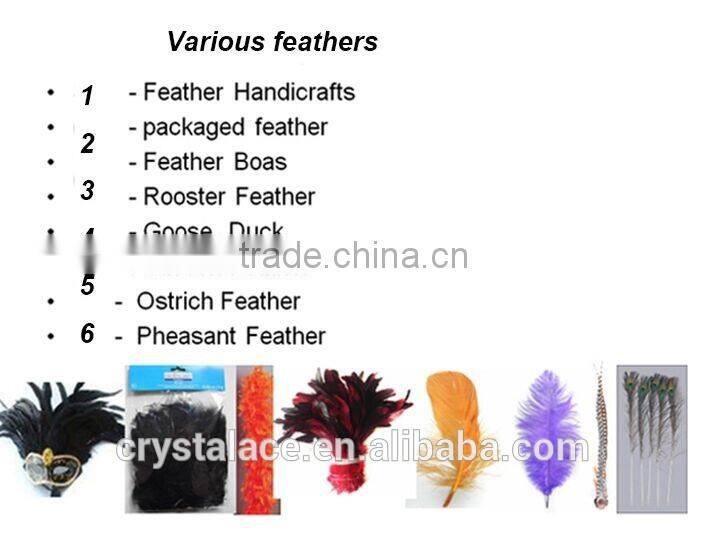 pink ostrich feathers, 15-75cm Ostrich Plume ,animal feathers for sale