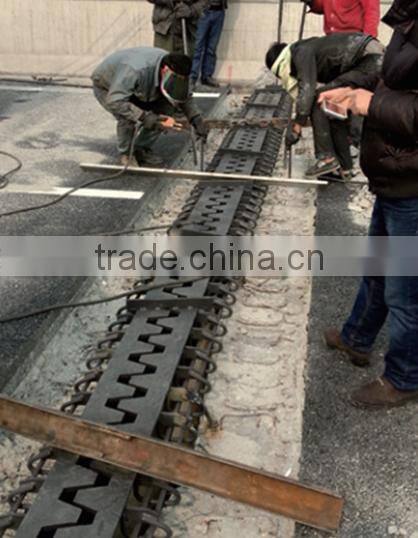 Chinese Bridge Expansion Joint