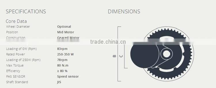 changzhou electric bike 8fun 350w mid drive motor kits with lithium battery