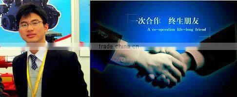 Manufacturer Supply LD Brand 4D Series Diesel Engine Sand Pump