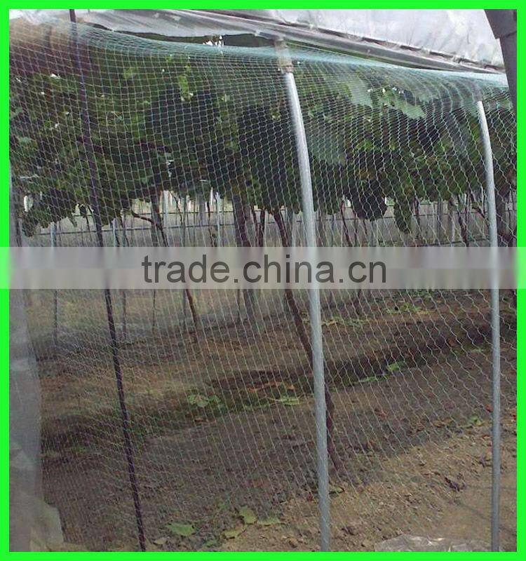 Knitted Anti Hail Netting WHITE 5m Width Pond Netting Fruit Protection