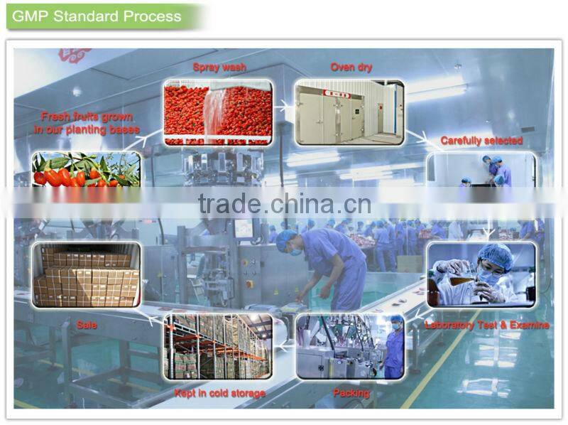 goji berries tea from China gojiberry manufacturer