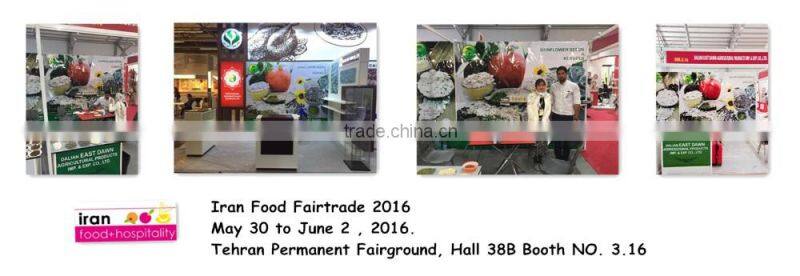 Benefit of Shine Skin Pumpkin Seeds