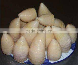 NEW PROMOTION!! bamboo shoot in tin