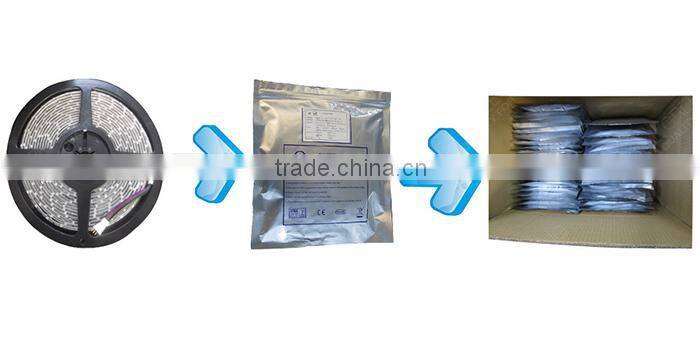 24V SMD 5050 White LED Waterproof Light Strip