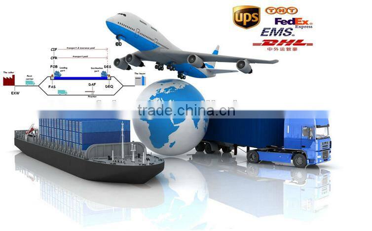 New Nylon 12 Colors Pet ID Necklace Collar For Dog and Cat OS003262