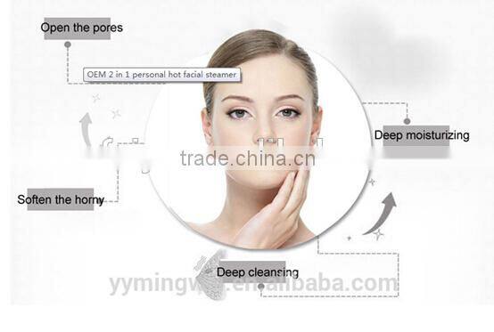 2016 new design Beauty Salon Steamer