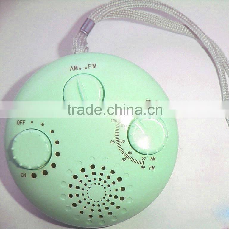 fog free shower mirror radio