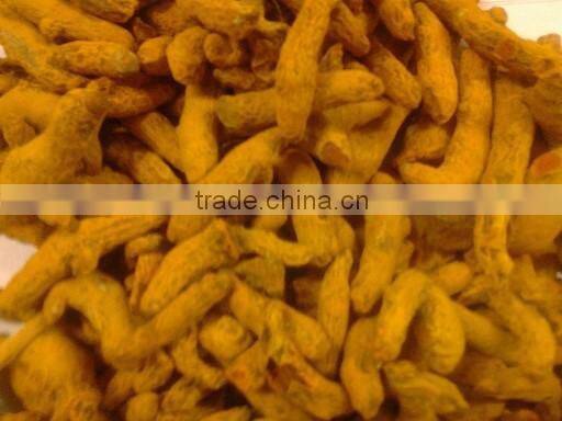 Turmeric Finger, Erode Turmeric Finger, Nizamabad Turmeric Finger