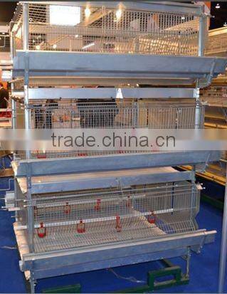 Automatic chicken cage