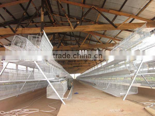 Chicken Cage Poultry Farm