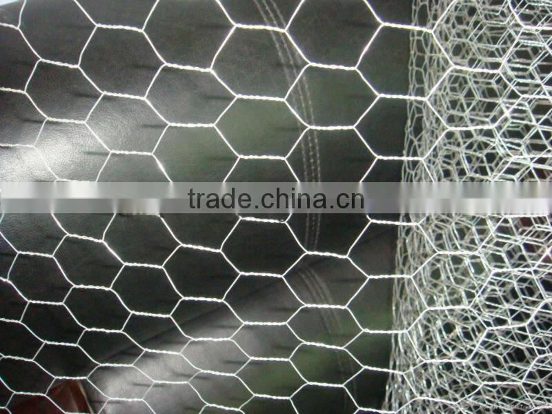 hexagonal wire mesh Manufacturer
