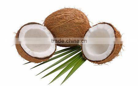 Coconut chips Multiple layer continuous type mesh belt dryer
