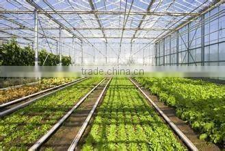 Brand new glass greenhouse for sale