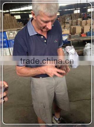 Sewage Sludge Pump, Sludage Transfer Pumps