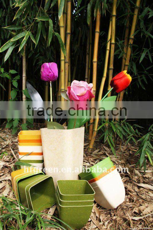 color biodegradable pots with matching tray