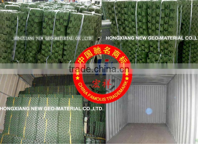 Grass planting plate with the lawn grass planting brick