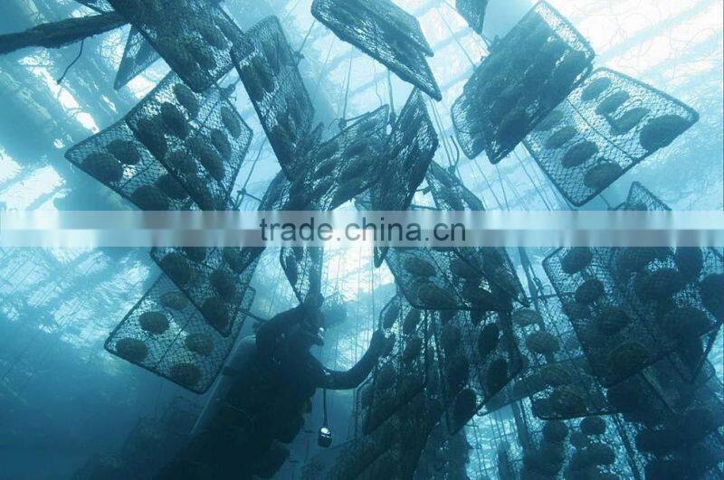 wholesale 10-11mm tahitian pearls jewelry14k gold pendant price