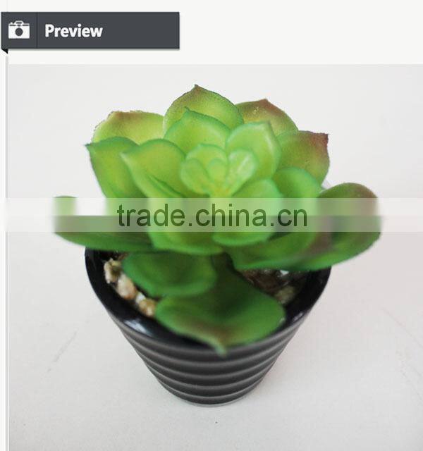 Wholesale artificial plants mini succulents for indoor decoration